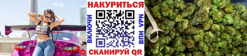 Шишки марихуана индика купить наркоту Алзамай